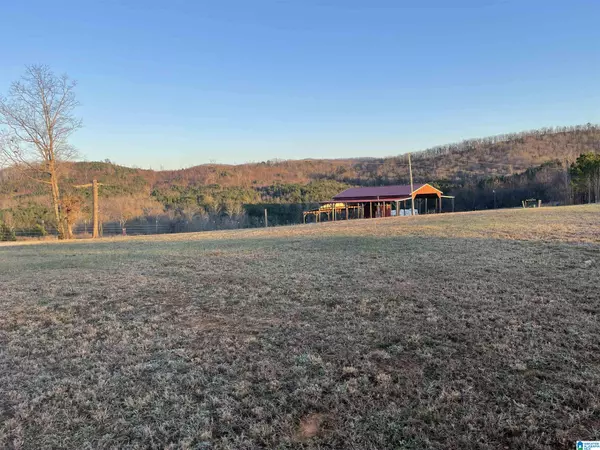 Piedmont, AL 36272,0 PLEASANT ACRES TRAIL #9