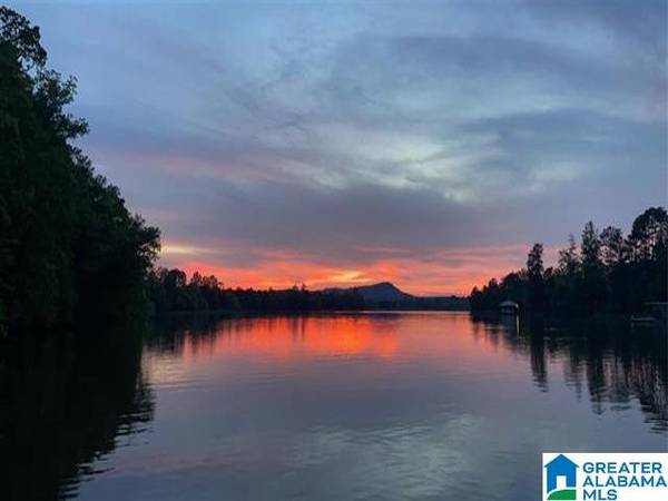 0 DAVIS ACRES DRIVE #2A, Alpine, AL 35014