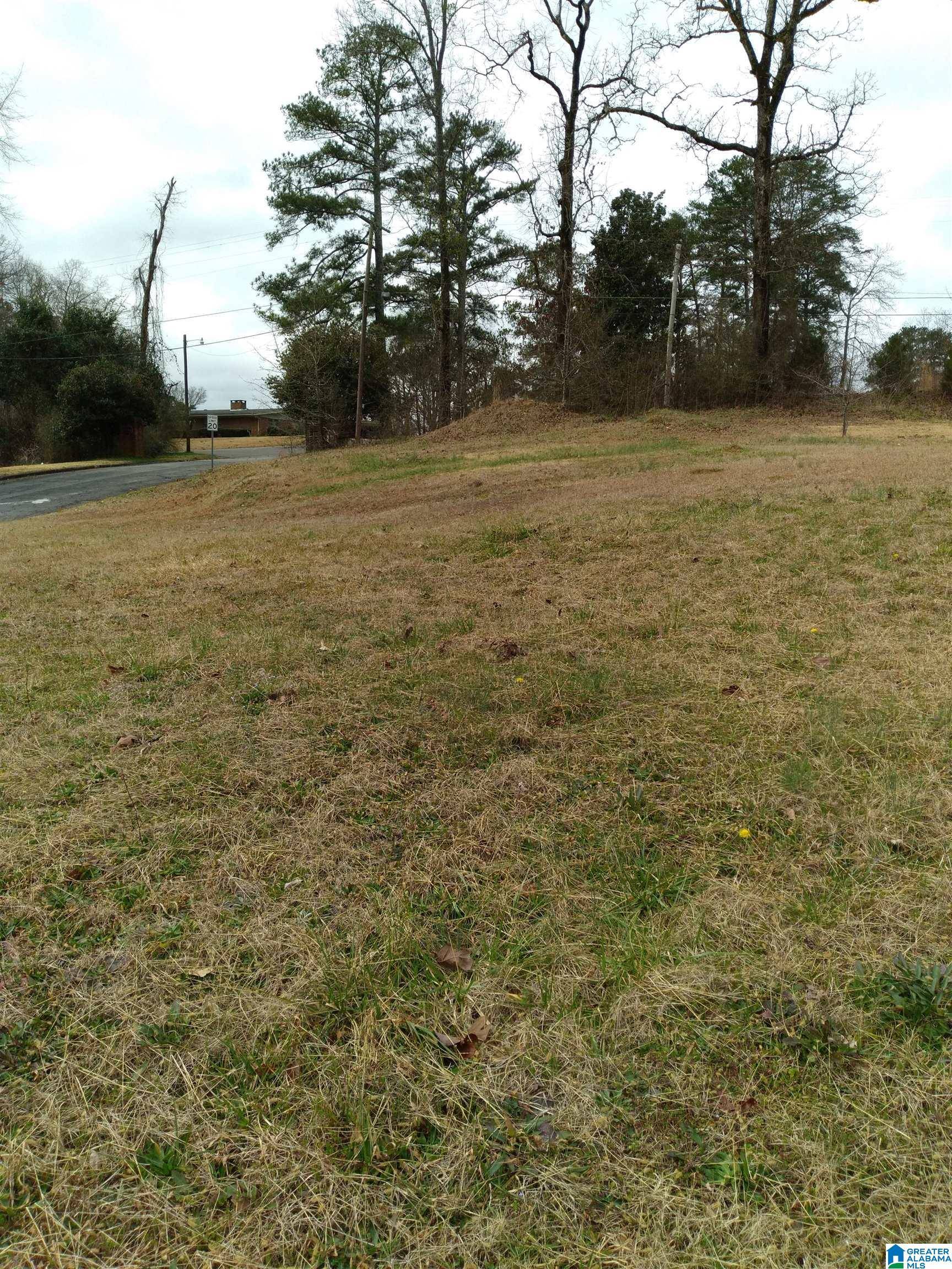 Bessemer, AL 35020,300 RIDGE AVENUE #15+16