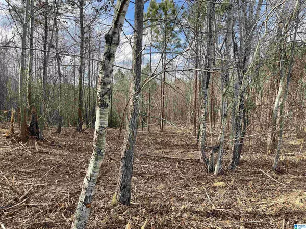 Piedmont, AL 36272,Lot 7 PLEASANT ACRES TRAIL #7