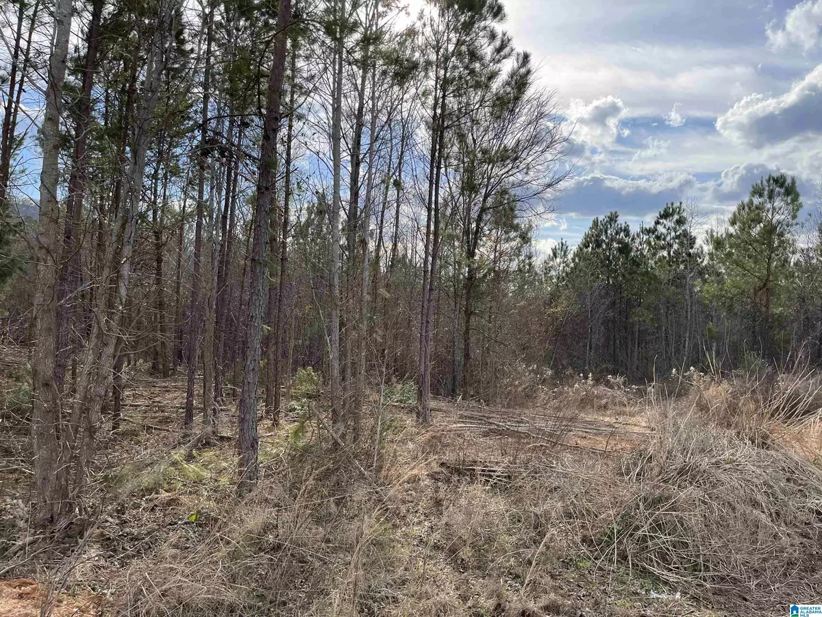 Piedmont, AL 36272,Lot 8 PLEASANT ACRES TRAIL #8