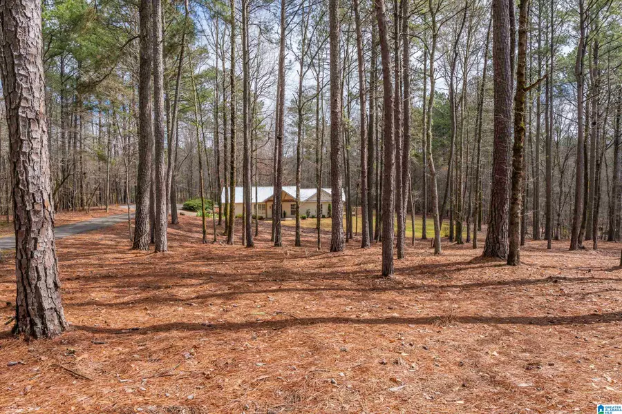 367 COUNTRY MANOR DRIVE, Sterrett, AL 35147