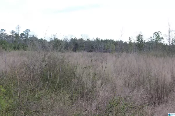 Woodland, AL 36280,COUNTY ROAD 518 #33.859acres