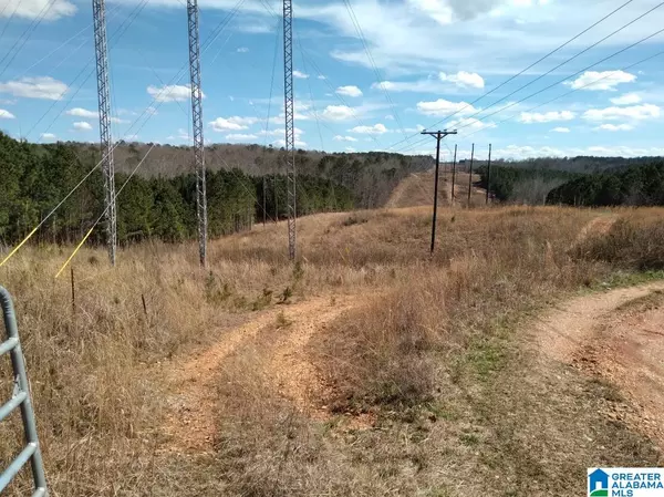 Buchanan, GA 30113,0 GA HIGHWAY 120 #73