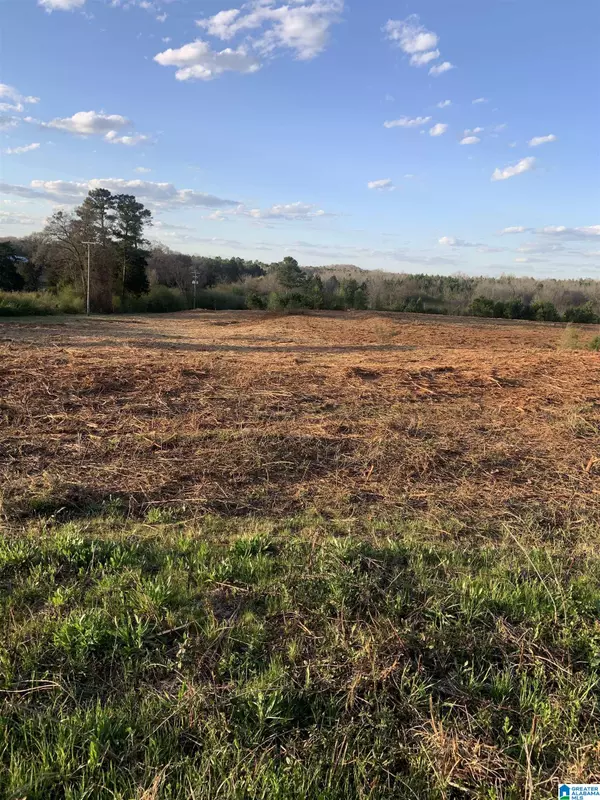 0 PROVIDENCE ROAD #71 Acres, Talladega, AL 35160