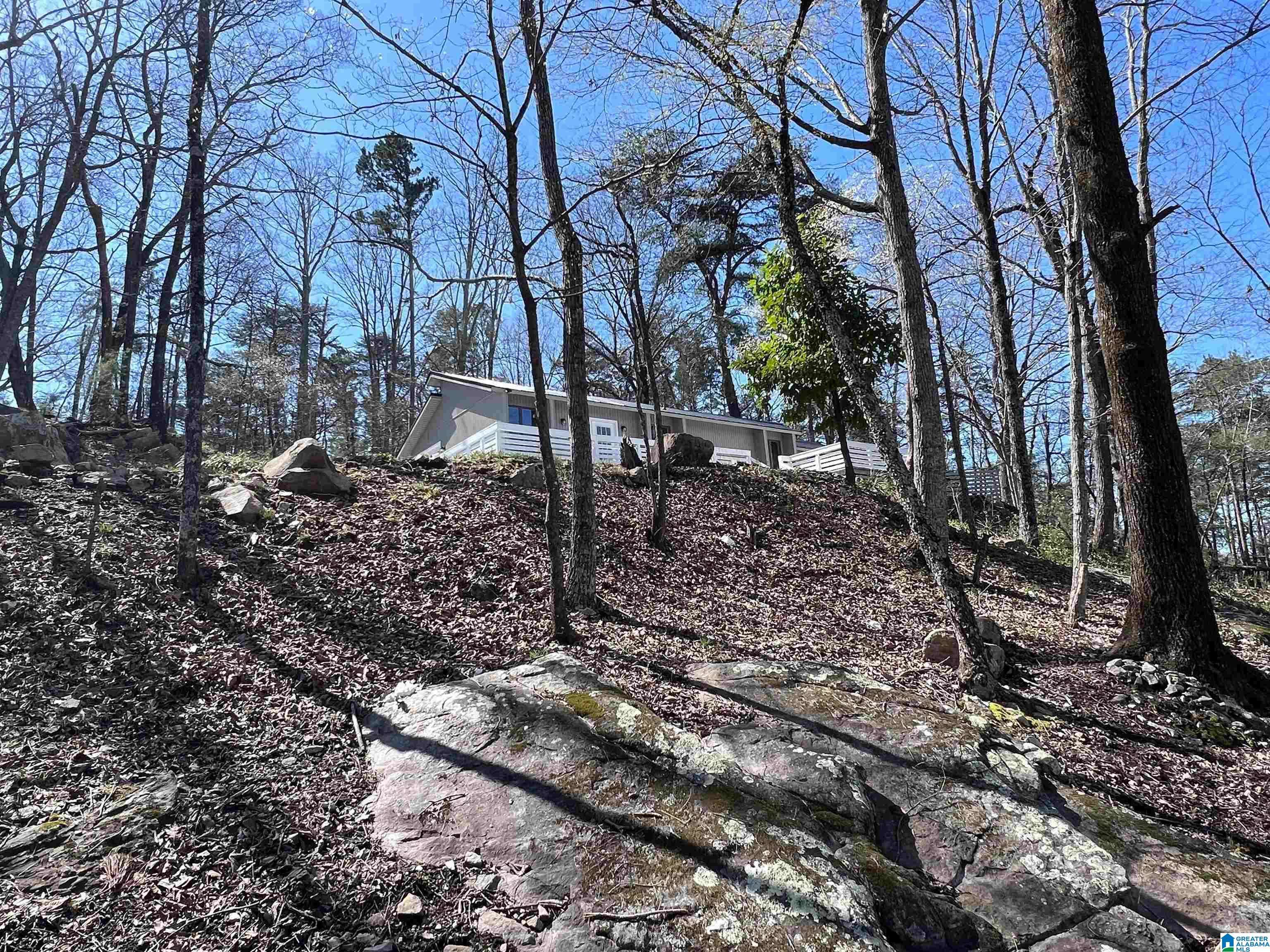 2 CHINQUAPIN WAY, Piedmont, AL 36272