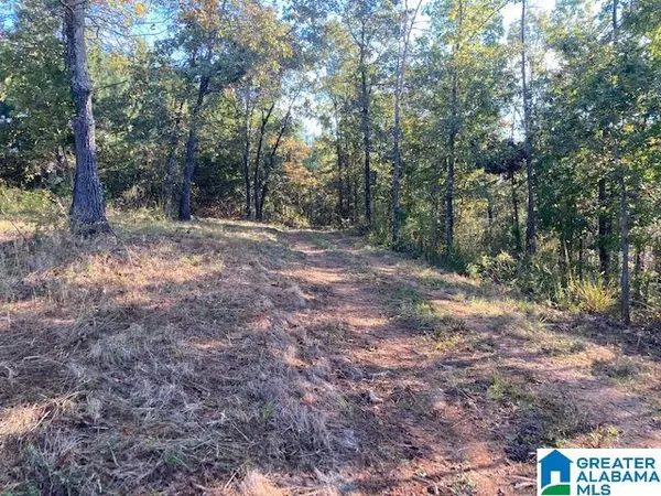 Ashland, AL 36251,250 GORTNEY ROAD #110 Ac