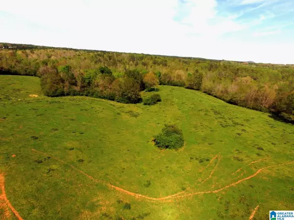 Lineville, AL 36266,ARENA ROAD #91 acres