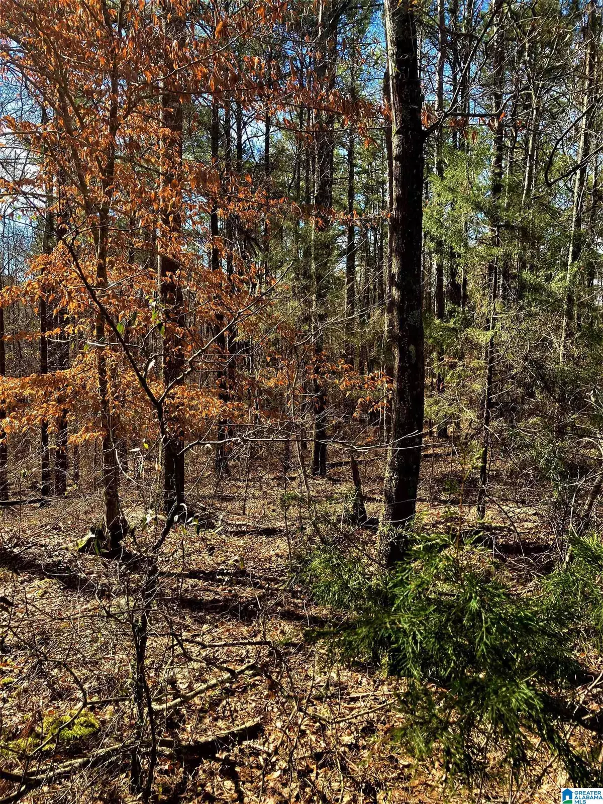 Wedowee, AL 36278,00 CHRISTINE LANE #Lot 1 and 2