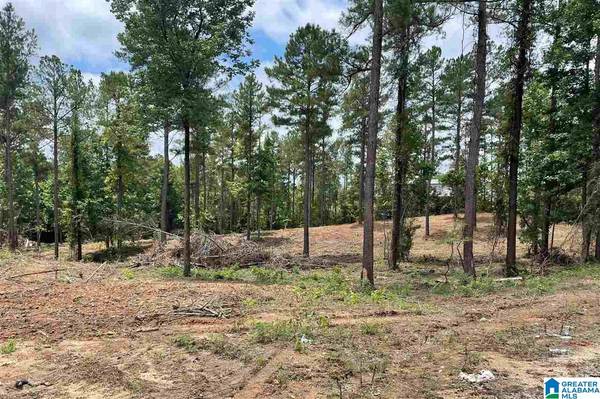 6136 GREY HILL ROAD #0, West Blocton, AL 35184