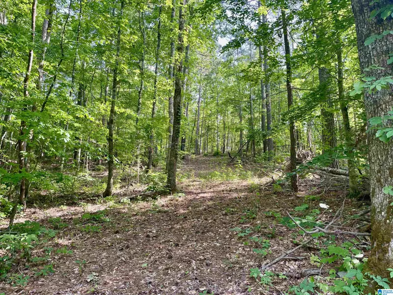 00 SPORTSMAN LAKE ROAD #1, Springville, AL 35146