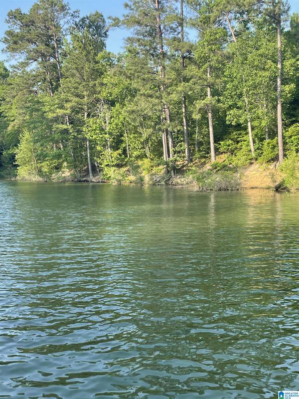 Lot 6 STILLWATER COVE #6, Double Springs, AL 35553