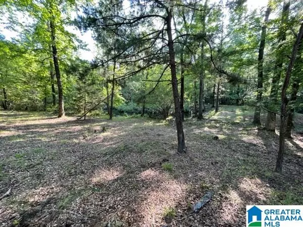 Columbiana, AL 35051,Lot 2 HIGHWAY 77 #2