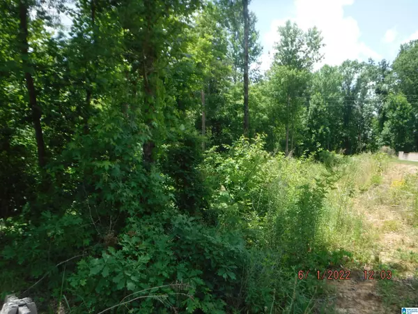 Pleasant Grove, AL 35127,0 12TH COURT #NONE