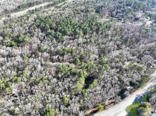 Alabaster, AL 35007,0 SIMMSVILLE ROAD #0