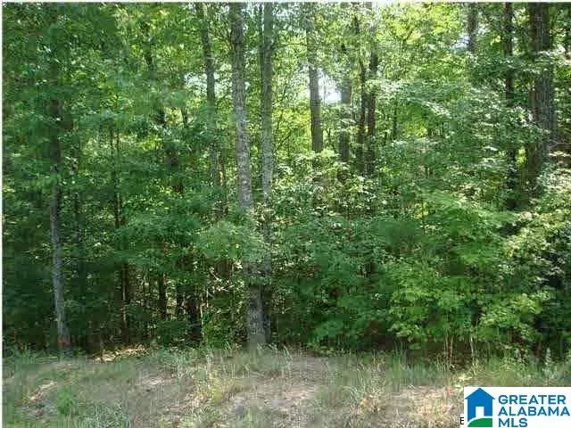0 SPRING ROAD #0, Ohatchee, AL 36271