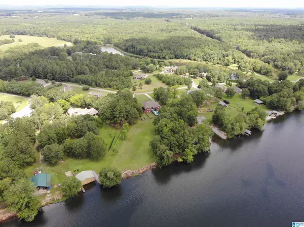Harpersville, AL 35078,1046 CHANCELLORS FERRY LOOP
