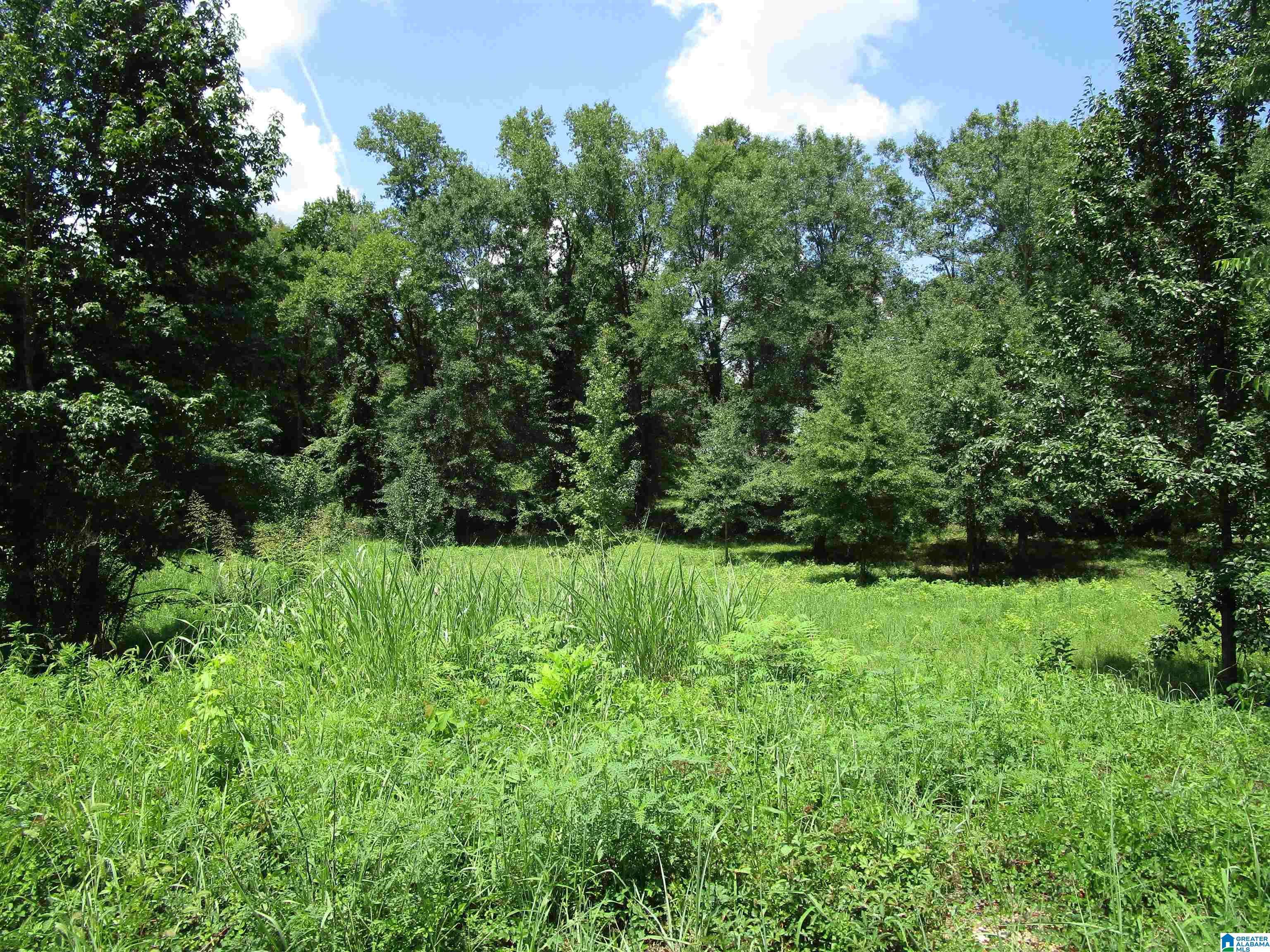 Bessemer, AL 35022,4205 GREENLEAF LANE #3