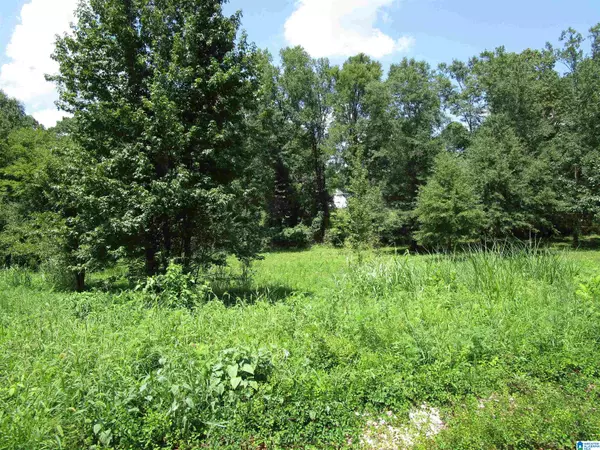 Bessemer, AL 35022,4205 GREENLEAF LANE #3