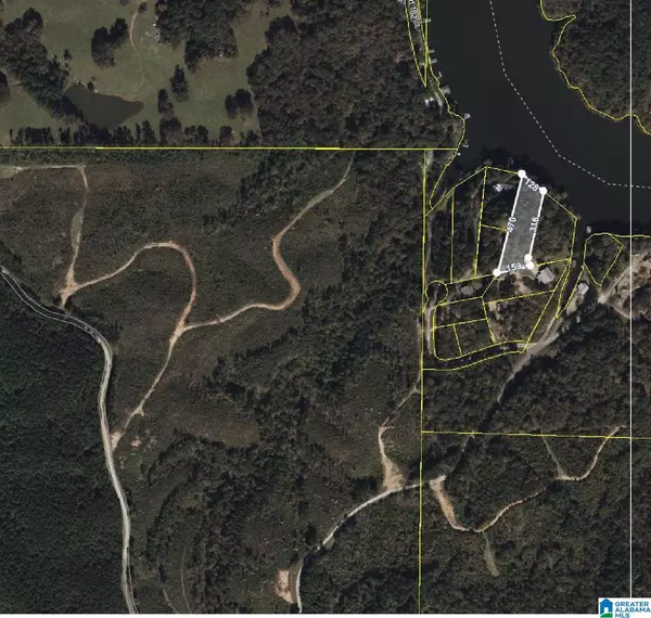 Clanton, AL 35046,COUNTY ROAD 919 #Lot 10