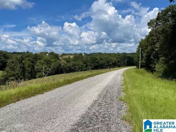 Woodland, AL 36280,COUNTY ROAD 95 #26.78 Ac