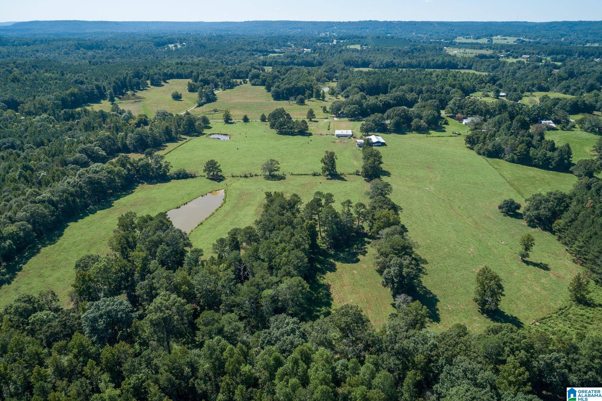 Hanceville, AL 35077,935 COUNTY ROAD 515