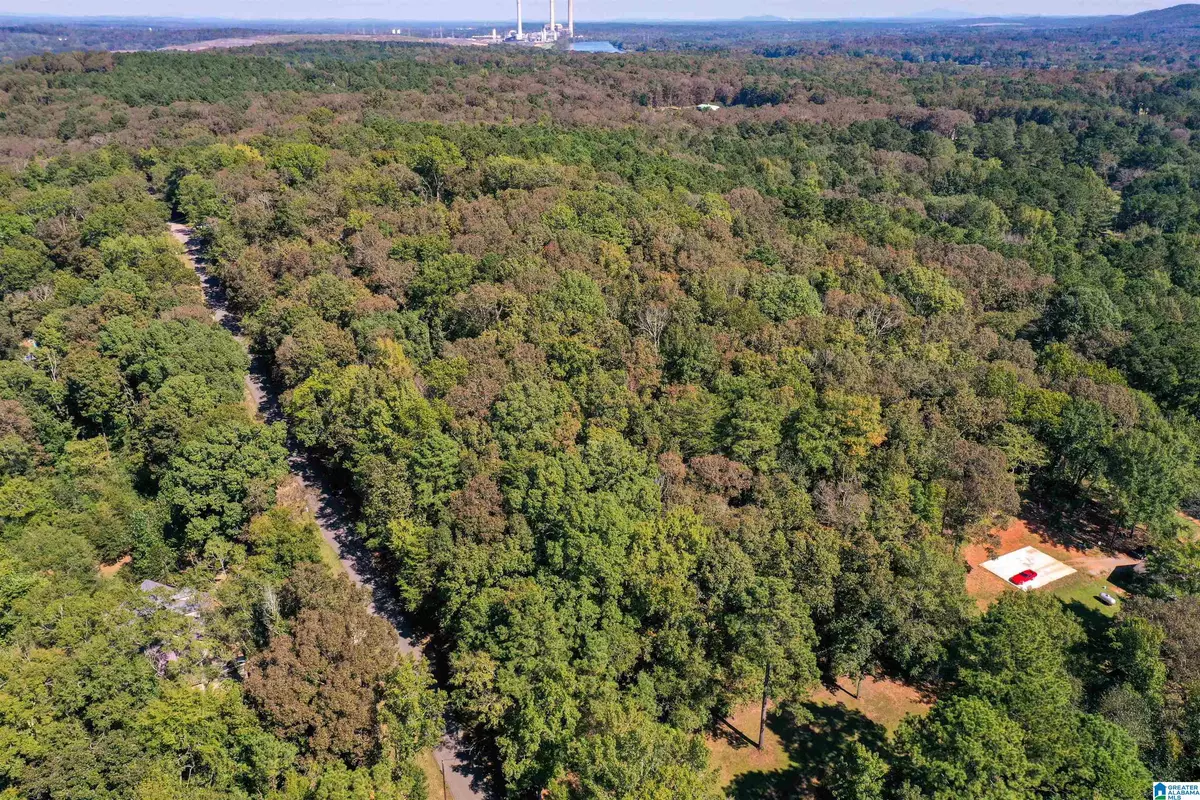 Wilsonville, AL 35186,285 RIVER DRIVE #25