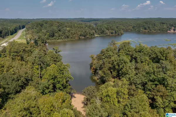 Clanton, AL 35045,LOT 1 COUNTY ROAD 730 #1