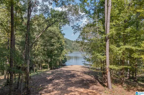 Clanton, AL 35045,LOT 5 LAKE VIEW DRIVE #5