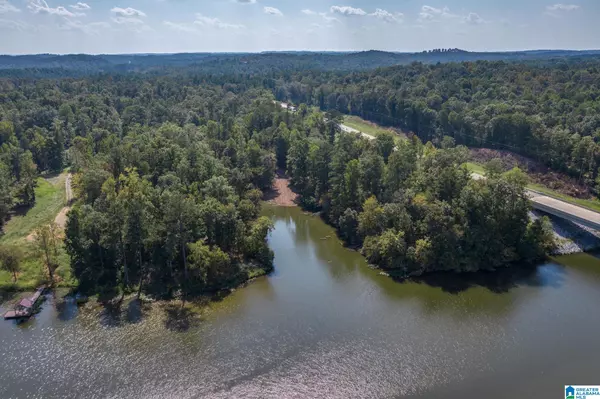 Clanton, AL 35045,LOT 12 COUNTY ROAD 730 #12