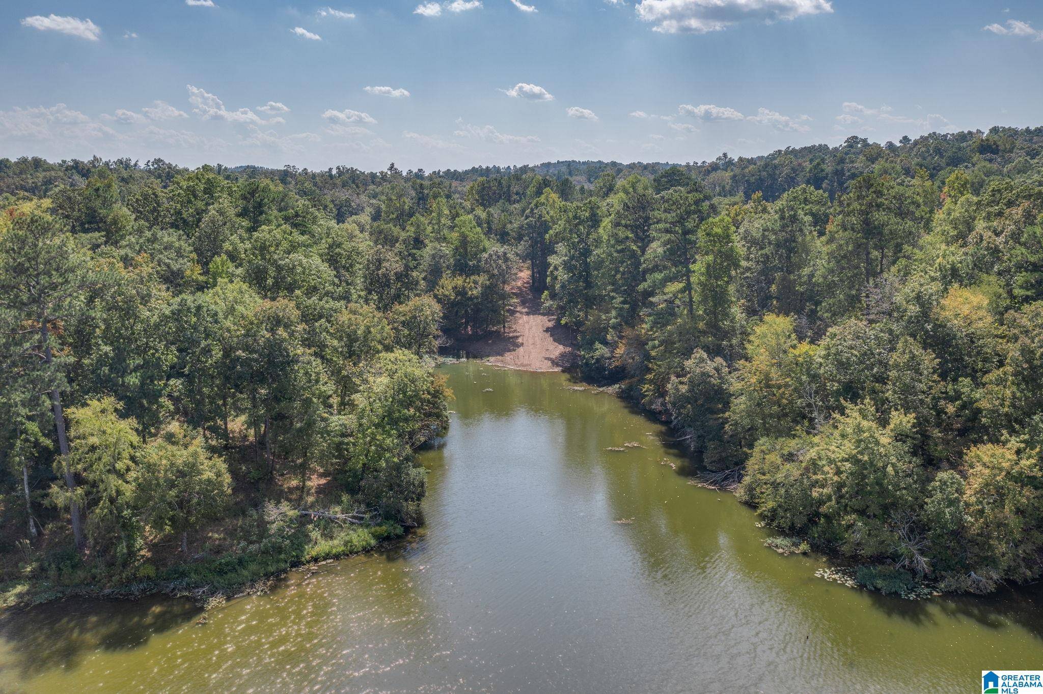 Clanton, AL 35045,LOT 12 COUNTY ROAD 730 #12