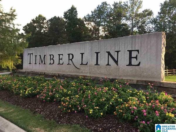 601 TIMBERLINE TRAIL #72, Calera, AL 35040