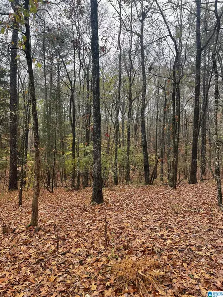 20 BEAR CREEK ROAD #1, Sterrett, AL 35147