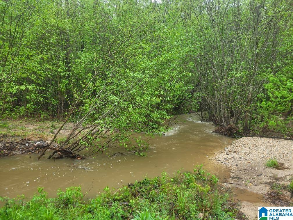 PINERIDGE RD PINERIDGE ROAD #755, Sylacauga, AL 35151