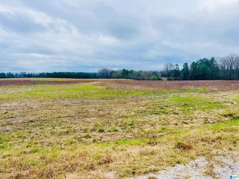 20 Acres GALLUPS LANE #2, Wilsonville, AL 35186