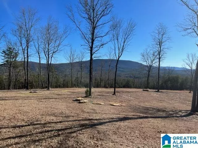 Munford, AL 36268,2575 KENTUCK ROAD #40 Ac.