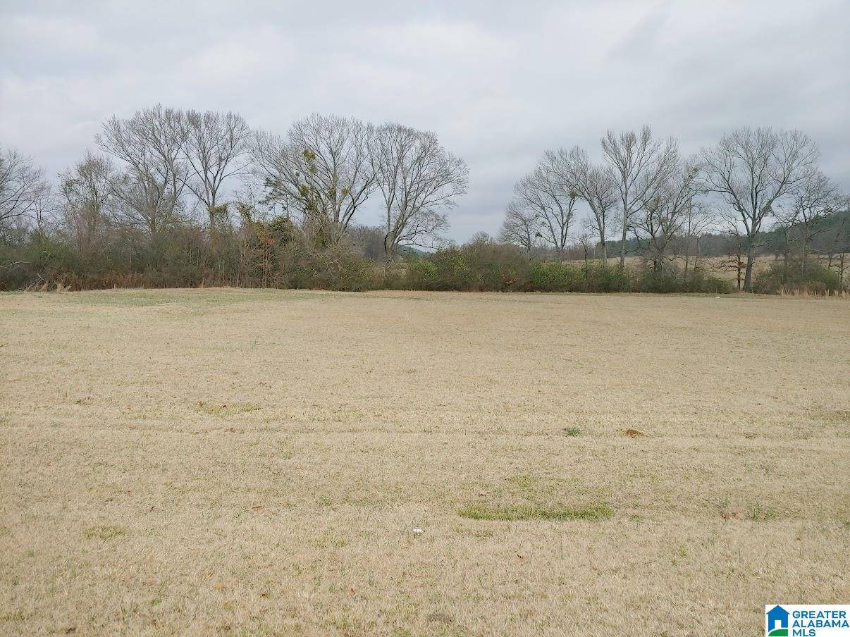 Sylacauga, AL 35150,0 LAKE CHARLES DRIVE #lot 8