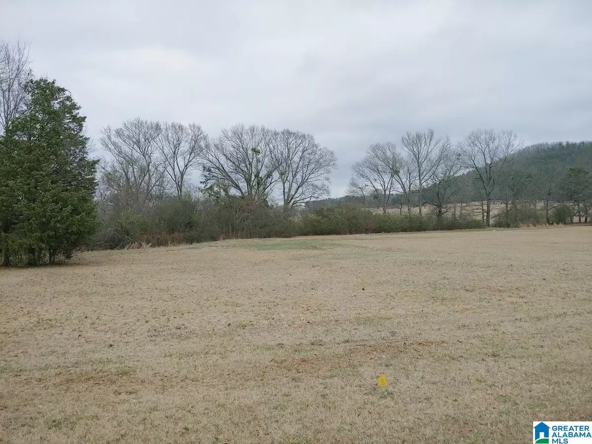 Sylacauga, AL 35150,0 LAKE CHARLES DRIVE #lot 8