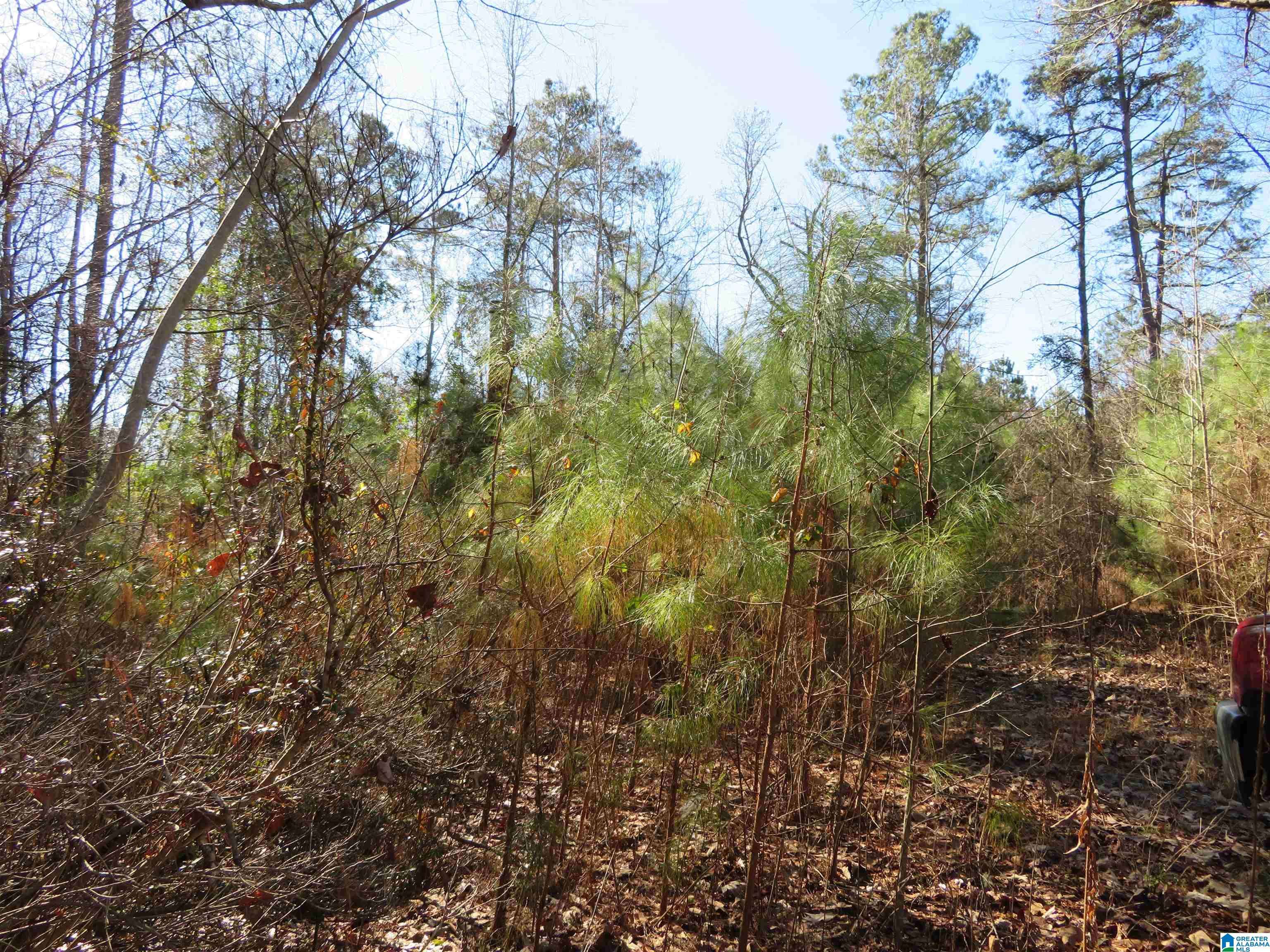 Mccalla, AL 35111,WOODLAND DRIVE #29,30,31