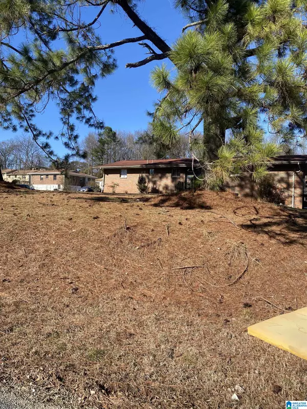 Birmingham, AL 35214,204 ELM AVENUE