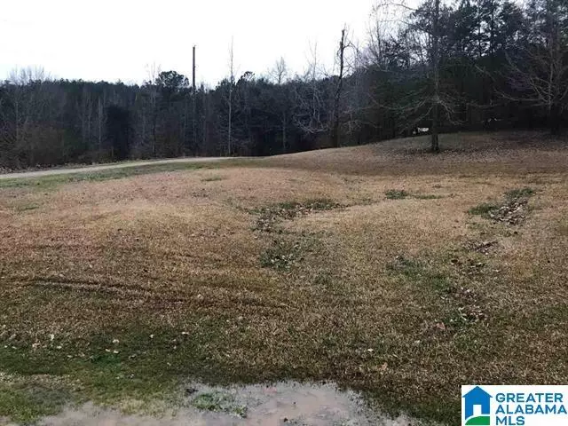 1770 BRUCE SHAW ROAD #1, Adger, AL 35006