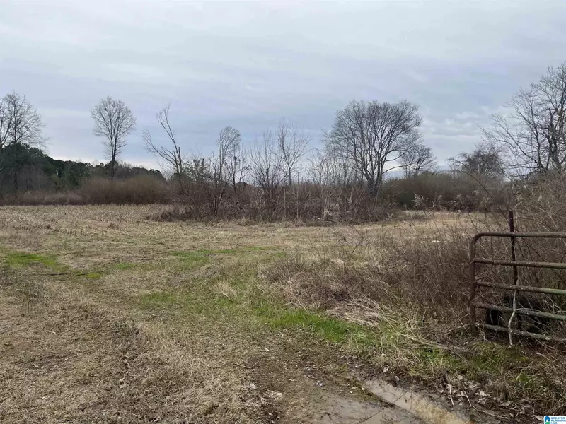 7280_33A HIGHWAY 62 #33A, Vincent, AL 35178