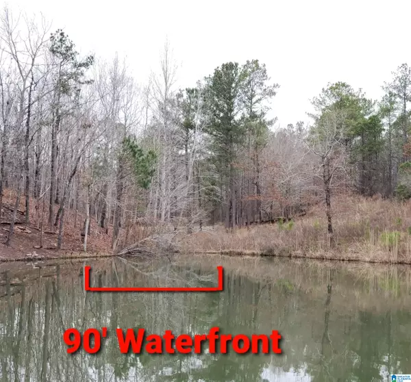 Dadeville, AL 36853,MURPHY DAM ROAD #Lot 17