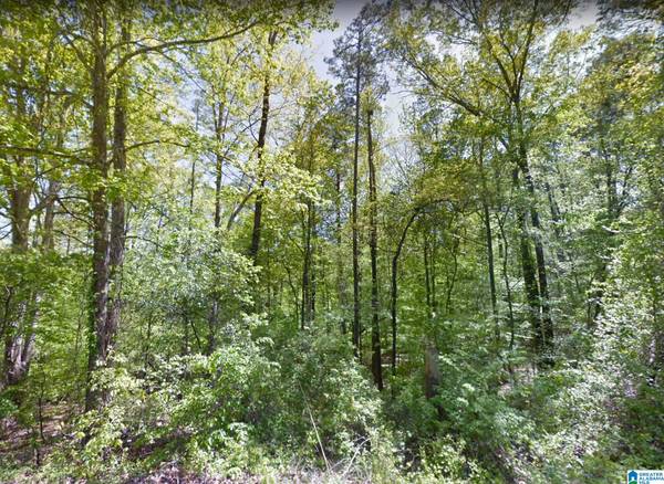0 SPRINGHILL ROAD #0, Fayette, AL 35555