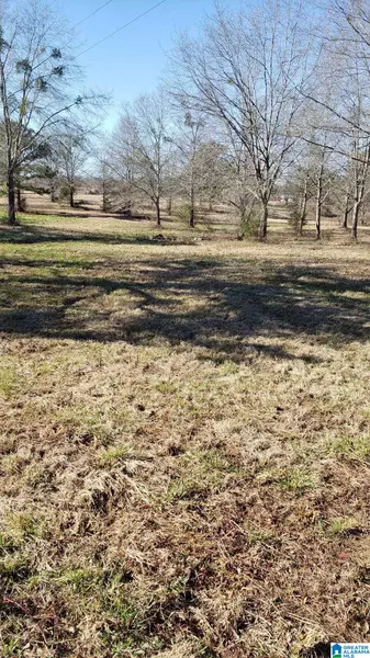 141 COUNTY ROAD 328 #1, Maplesville, AL 36750