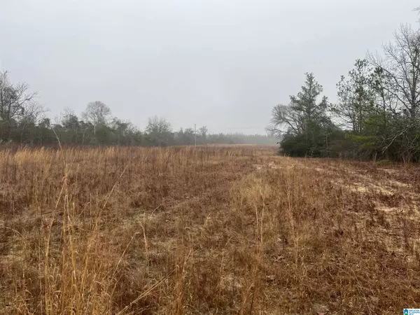 Marbury, AL 36051,942 COUNTY ROAD 150 #1