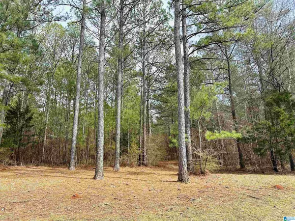 000 WILDBERRY LANE #13, Sylacauga, AL 35151