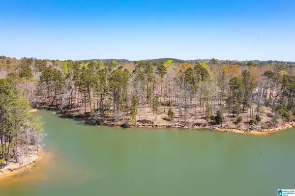 Houston, AL 35572,COUNTY ROAD 61 #45
