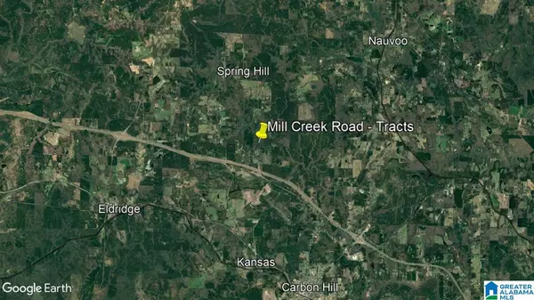 Nauvoo, AL 35578,Tract G MILL CREEK ROAD #G