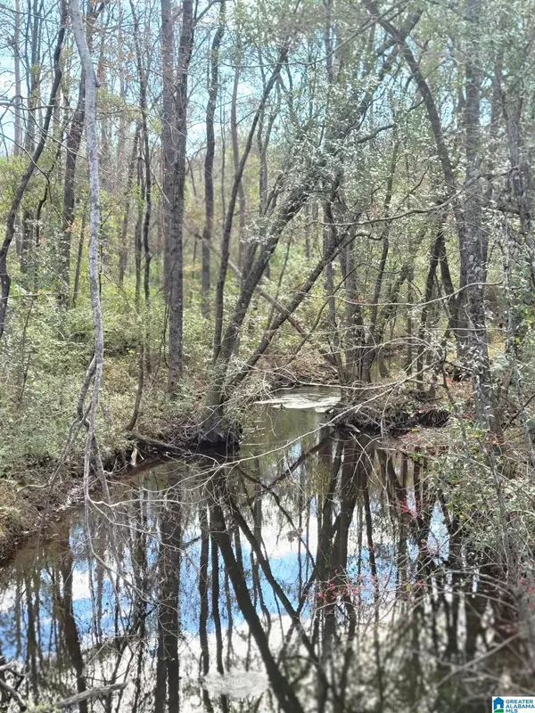 Marbury, AL 36051,898 COUNTY ROAD 49 #1